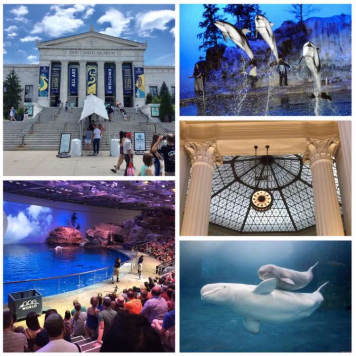 Screen Shot 2017-08-27 at 6.15.05 PM