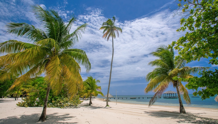 Screen Shot 2018-01-10 at 10.10.52 PM