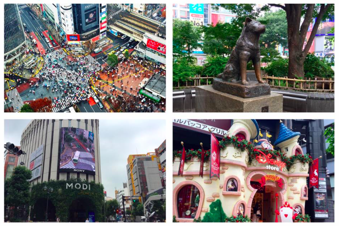 Screen Shot 2018-06-07 at 5.43.43 PM