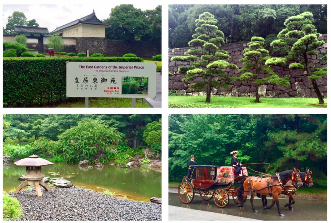 Screen Shot 2018-06-07 at 5.43.52 PM